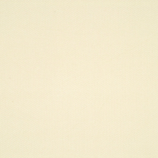 Robert Allen Scrumptious | Fleece  Upholstery     - 150017