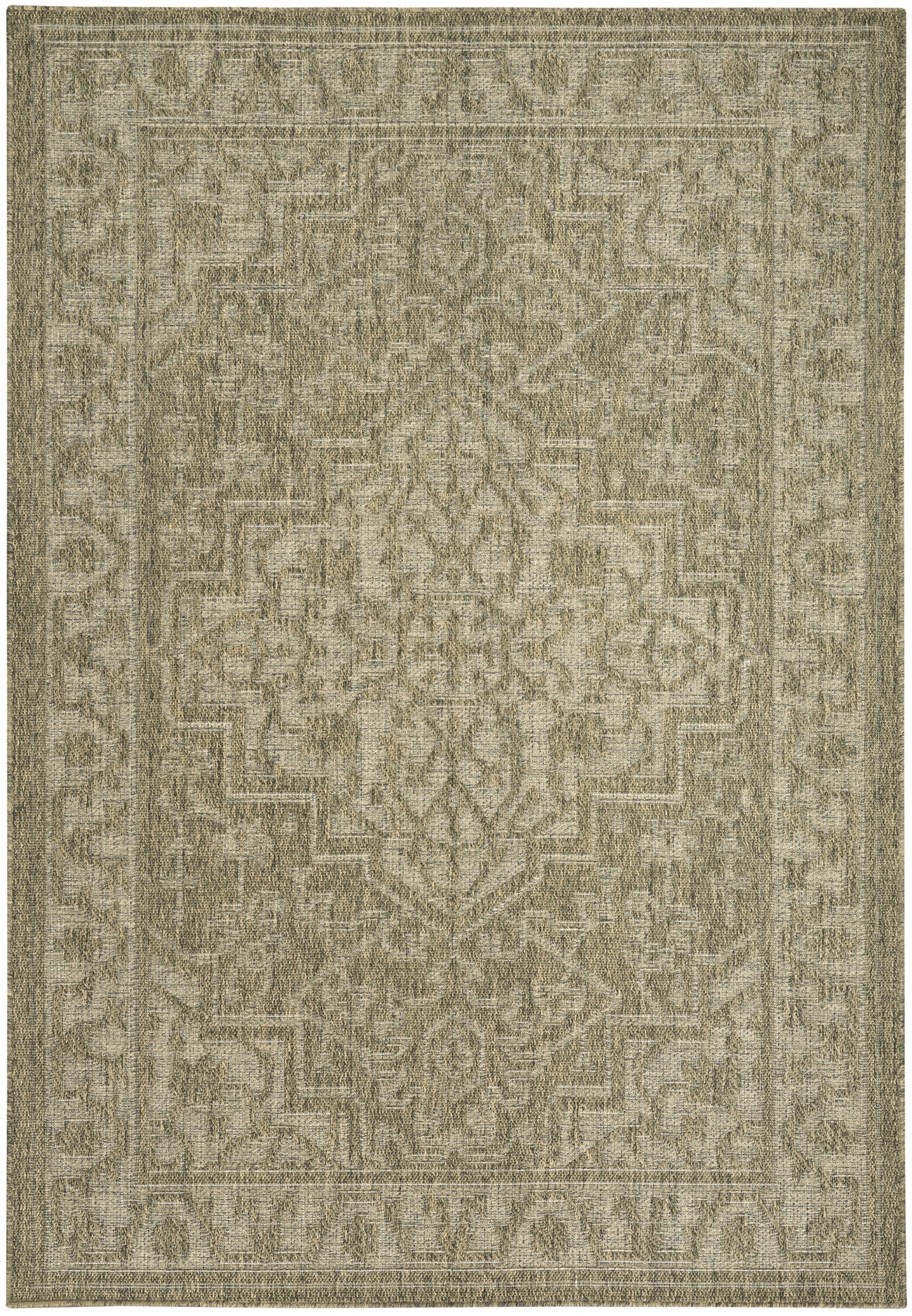 Neutral beige-gray outdoor rug with a distressed Persian-style pattern, central medallion and layered borders.