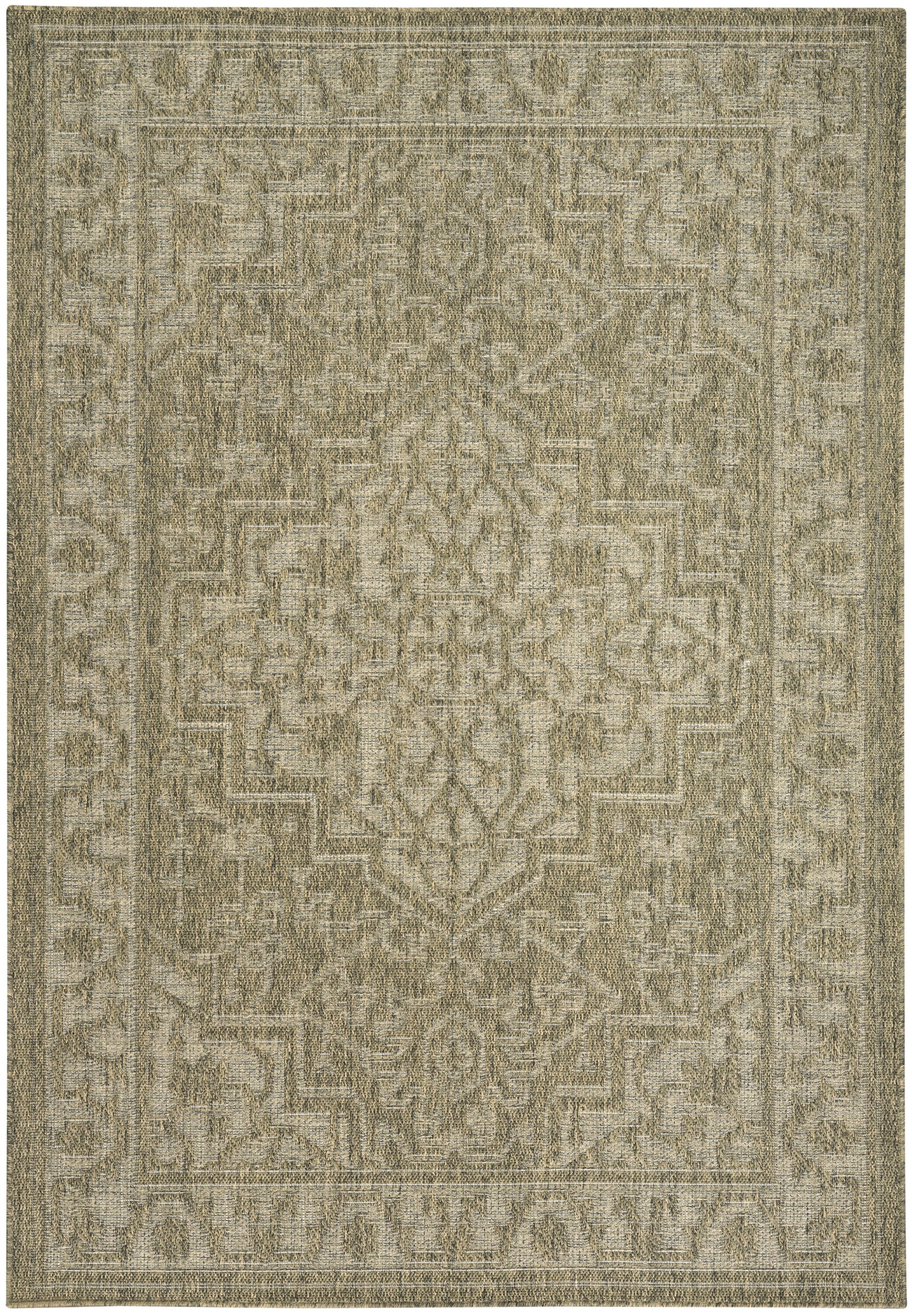 Beige-gray outdoor rug with a distressed pattern and geometric border; soft woven texture.