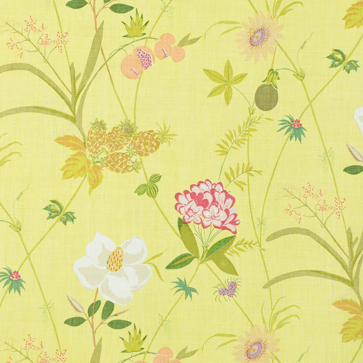 SCHUMACHER  RAOUL TEXTILES SECRET GARDEN BY RAOUL PRINTS PRINTS LIMON   - 151B49