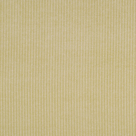 Robert Allen Burkesville | Sprout  Upholstery     - 152410
