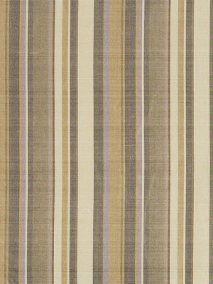 Robert Allen Lehane | Gold  Multipurpose     - 155649