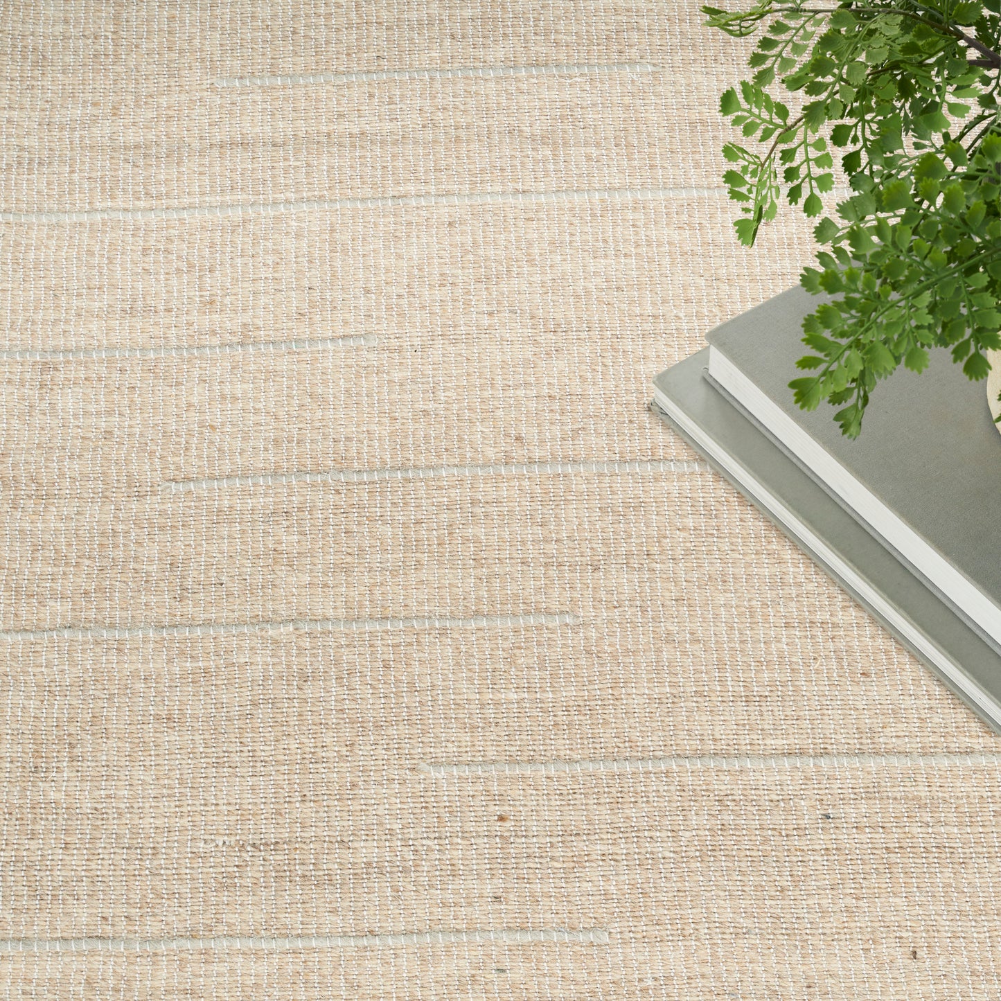 Beige woven rug backdrop with a small stack of gray books and a green fern in the top-right corner.