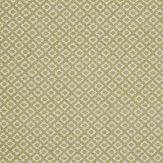 Robert Allen Contract Celosia | Pistachio  Upholstery     - 158990