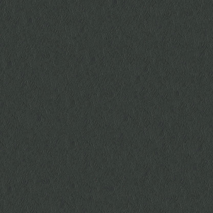 NICHOLASJOHN INC NJ-CAPO Black Solid   Fabric - NJ25-470