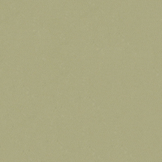 NICHOLASJOHN INC NJ-STREAMS Taupe Solid,Texture   Fabric - NJ25-412
