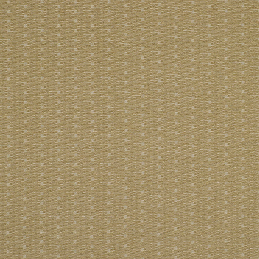 Robert Allen Glad All Over | Celery  Upholstery     - 160427