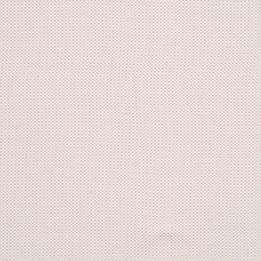 Robert Allen Trottier | Biscotti  Multipurpose     - 160618