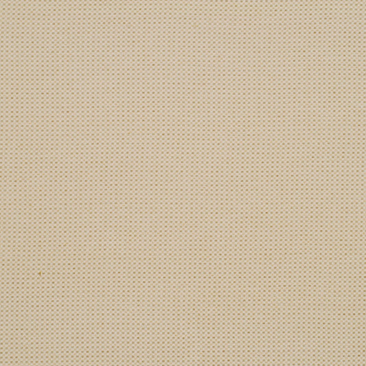 Robert Allen Trottier | Chamomile  Multipurpose     - 160620