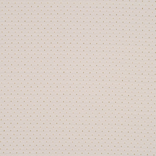 Robert Allen Debenham | Bamboo  Upholstery     - 161365