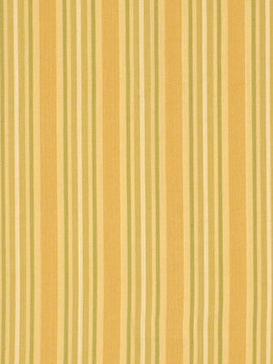 Robert Allen Move On | Canteloupe  Upholstery     - 161975