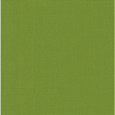 KRAVET DESIGN INDOOR / OUTDOOR TEXTURE LIGHT GREEN,LIGHT GREEN,   - 16235.323.0