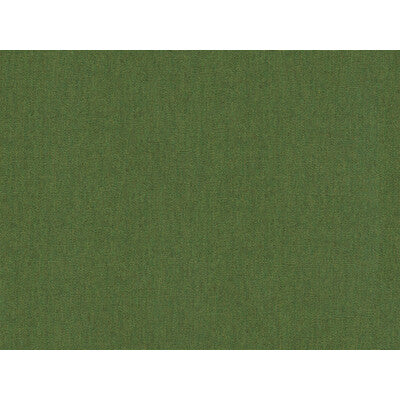 KRAVET DESIGN INDOOR / OUTDOOR TEXTURE GREEN,OLIVE GREEN,   - 16235.33.0