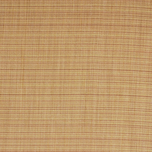 Robert Allen Lustrous | Dune  Multipurpose     - 166821