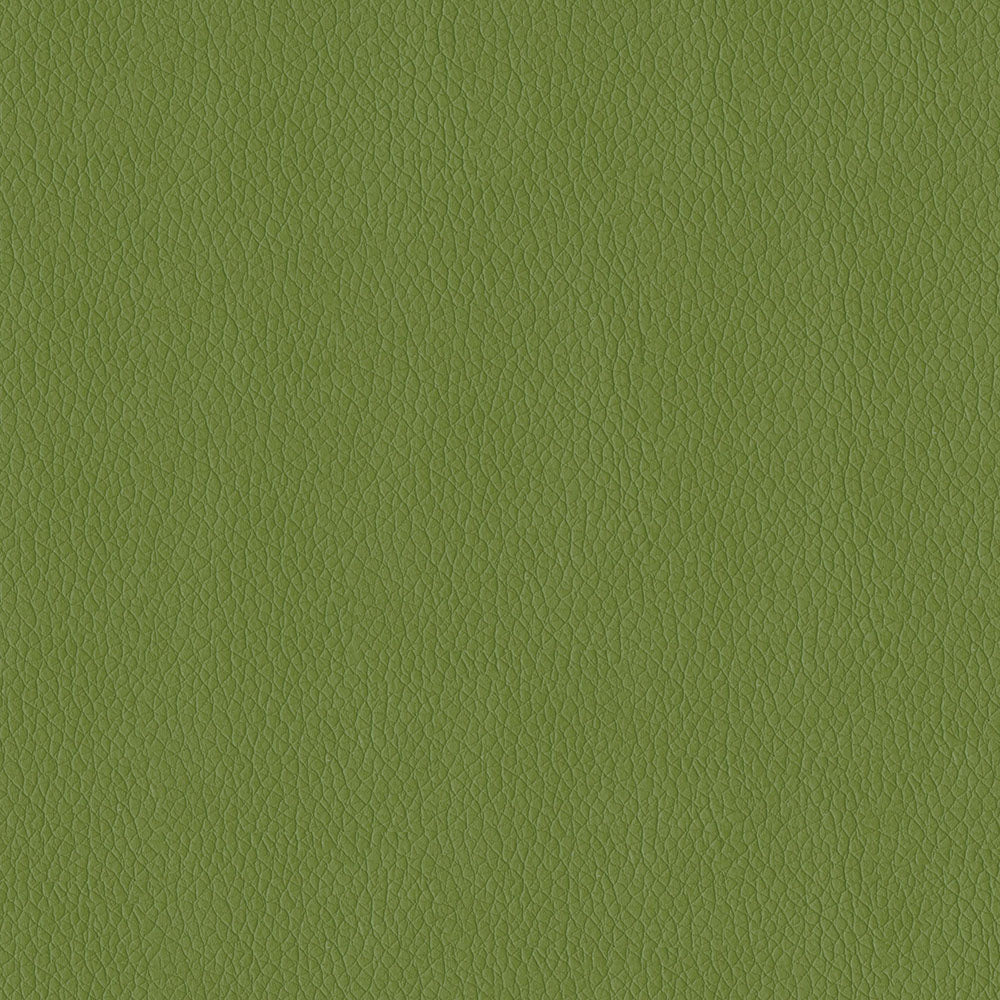 NICHOLASJOHN INC NJ-MIAMI Sprig Solid   Fabric - NJ25-3516