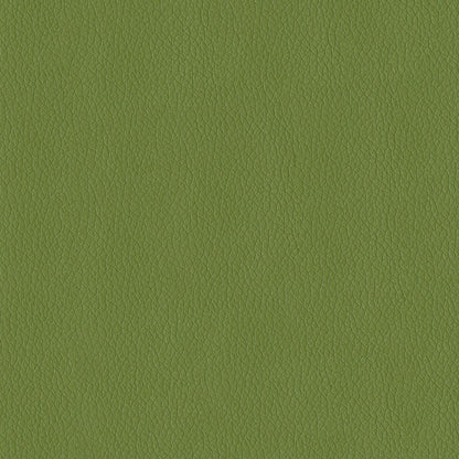 NICHOLASJOHN INC NJ-MIAMI Sprig Solid   Fabric - NJ25-3516