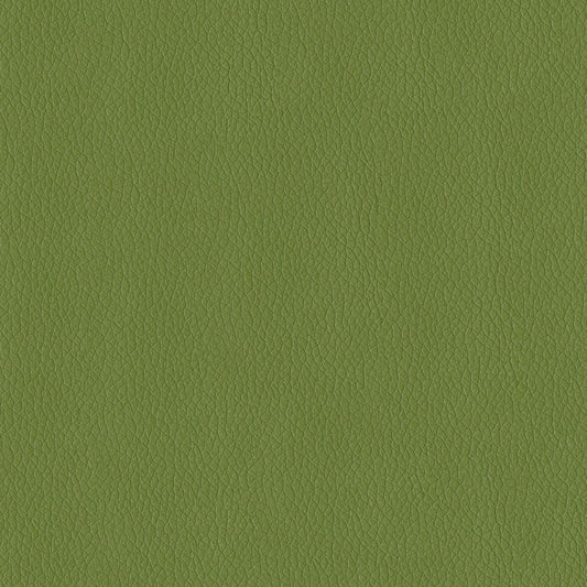 NICHOLASJOHN INC NJ-MIAMI Sprig Solid   Fabric - NJ25-3516