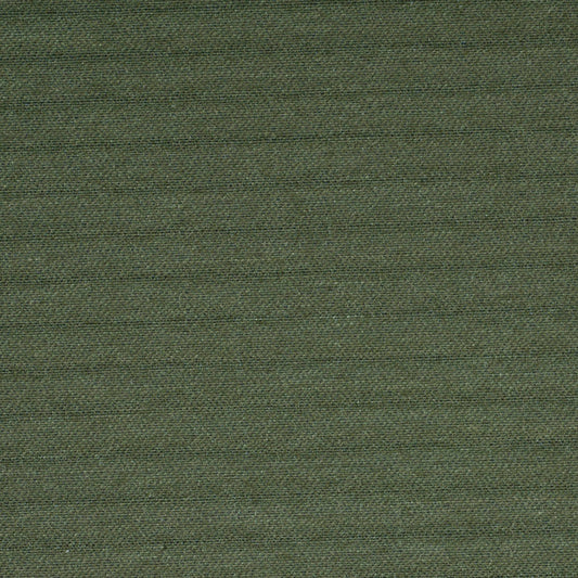 Robert Allen Contract Single File | Spearmint  Upholstery     - 167695