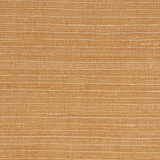 Robert Allen Felicitas | Desert  Multipurpose     - 168204