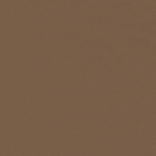 NICHOLASJOHN INC NJ-GPX Brown Solid   Fabric - NJ25-1442