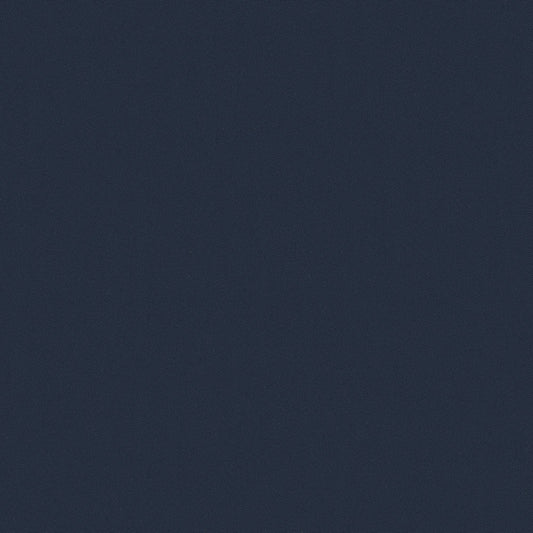 NICHOLASJOHN INC NJ-OASIS Blue Solid   Fabric - NJ25-2456