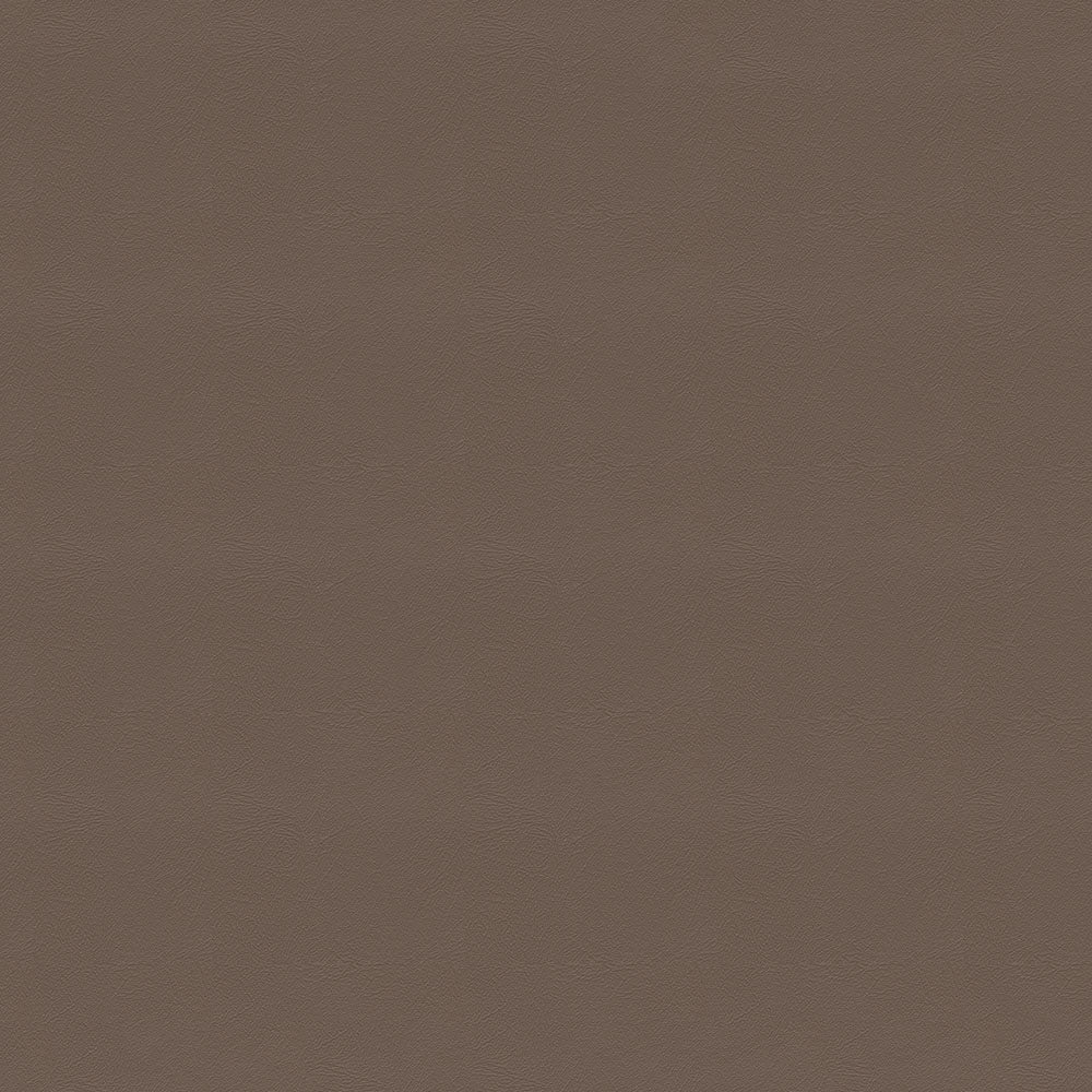 NICHOLASJOHN INC NJ-CARLO Brown Solid   Fabric - NJ25-2307