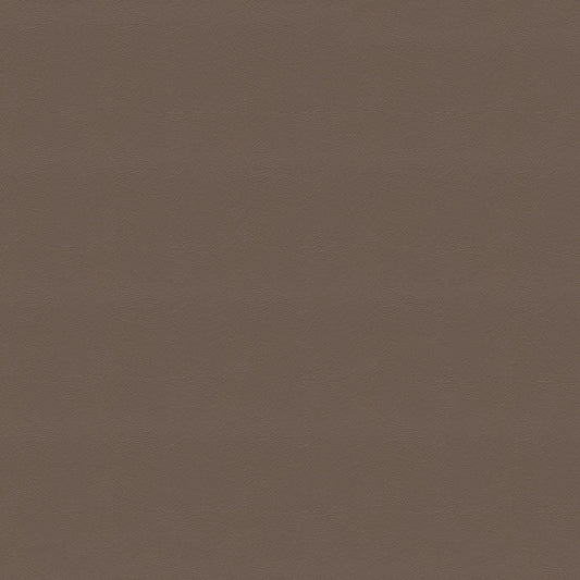 NICHOLASJOHN INC NJ-CARLO Brown Solid   Fabric - NJ25-2307