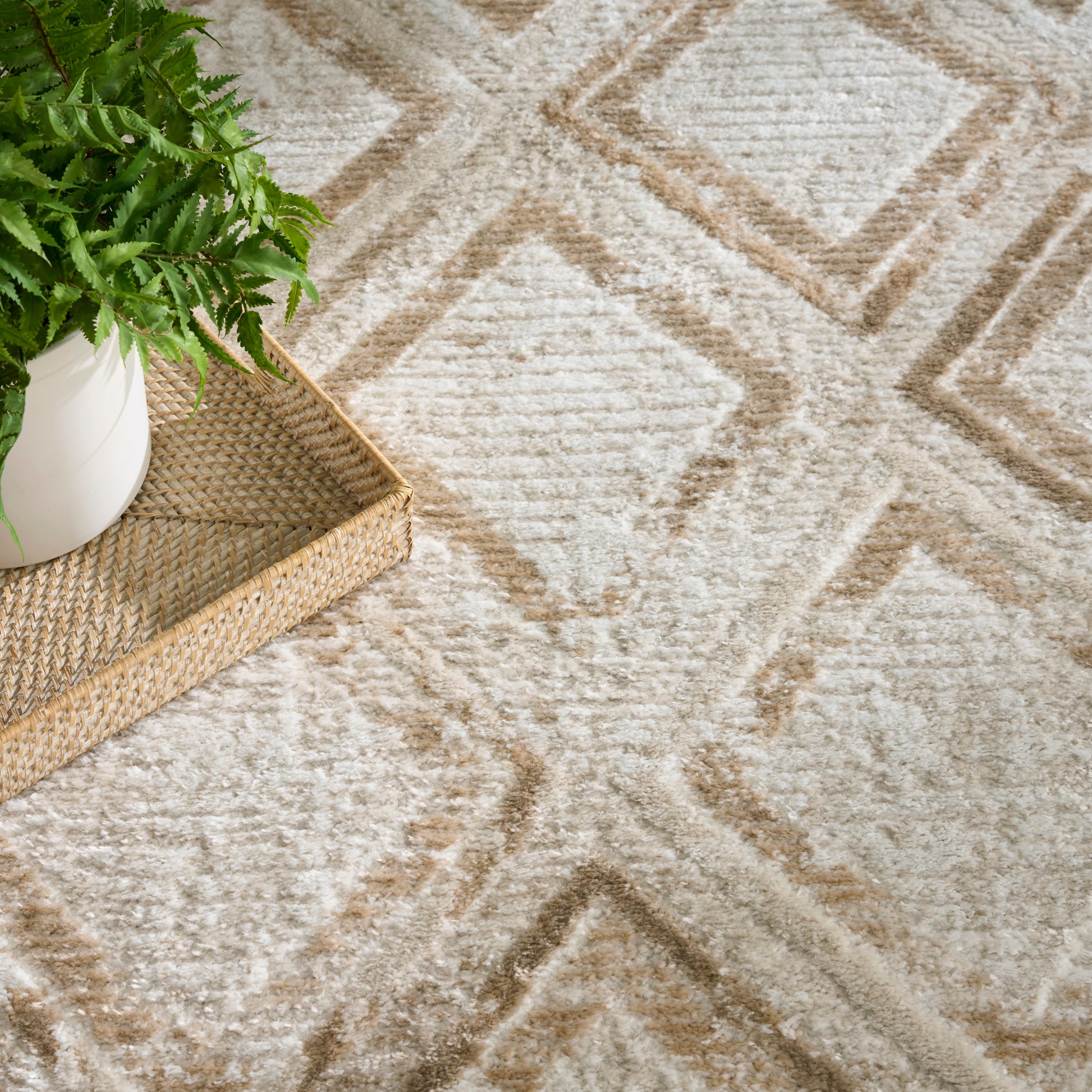 Green fern in a white pot on a woven rattan tray atop a beige geometric diamond rug.