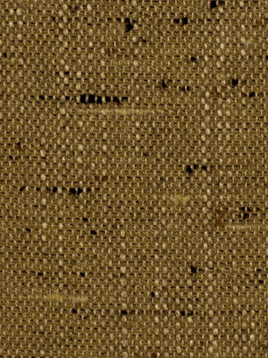 Robert Allen Alecon | Twig  Upholstery     - 172944