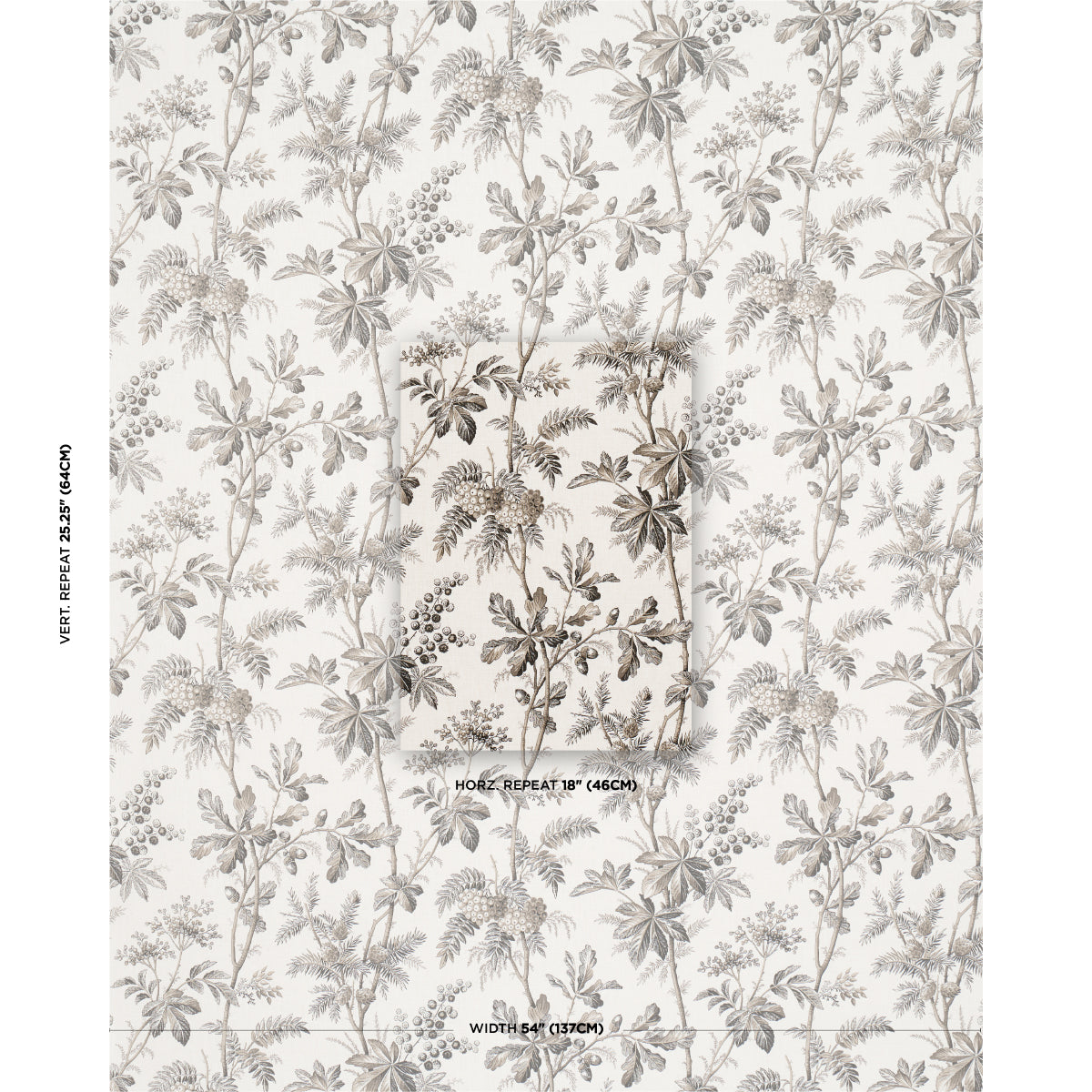 SCHUMACHER  A COUNTRY LIFE BRANTWOOD VINE PRINTS PRINTS GRAPHITE   - 174115