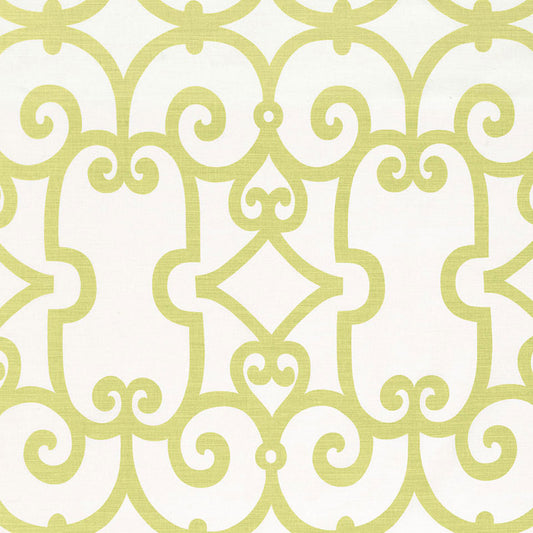 SCHUMACHER  CLASSIC PRINTS MANOR GATE PRINTS PRINTS ALOE   - 174150