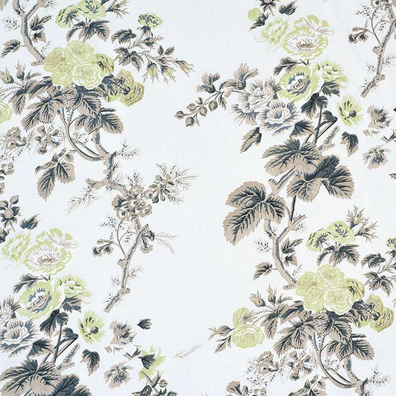 SCHUMACHER  SCHUMACHER CLASSICS PYNE HOLLYHOCK PRINTS PRINTS GREEN TEA   - 174455