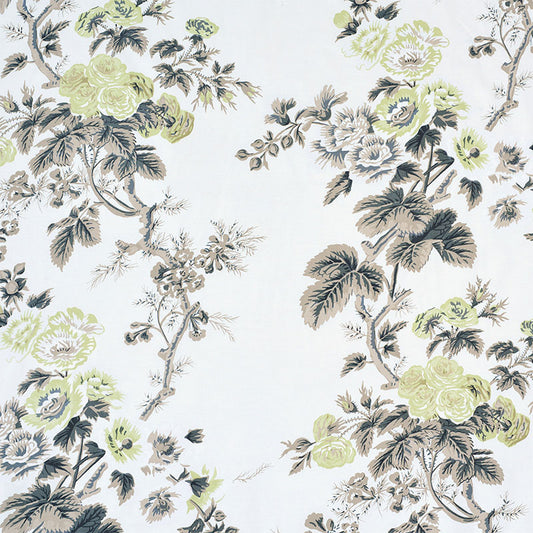 SCHUMACHER  SCHUMACHER CLASSICS PYNE HOLLYHOCK PRINTS PRINTS GREEN TEA   - 174455
