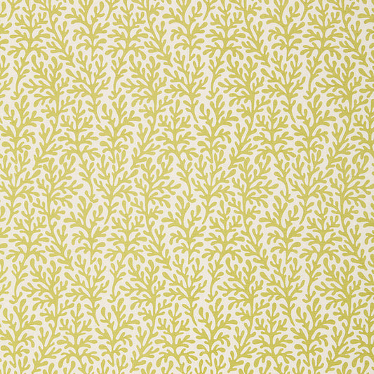 SCHUMACHER  TESSERA SEA CORAL PRINTS PRINTS CHARTREUSE   - 174462