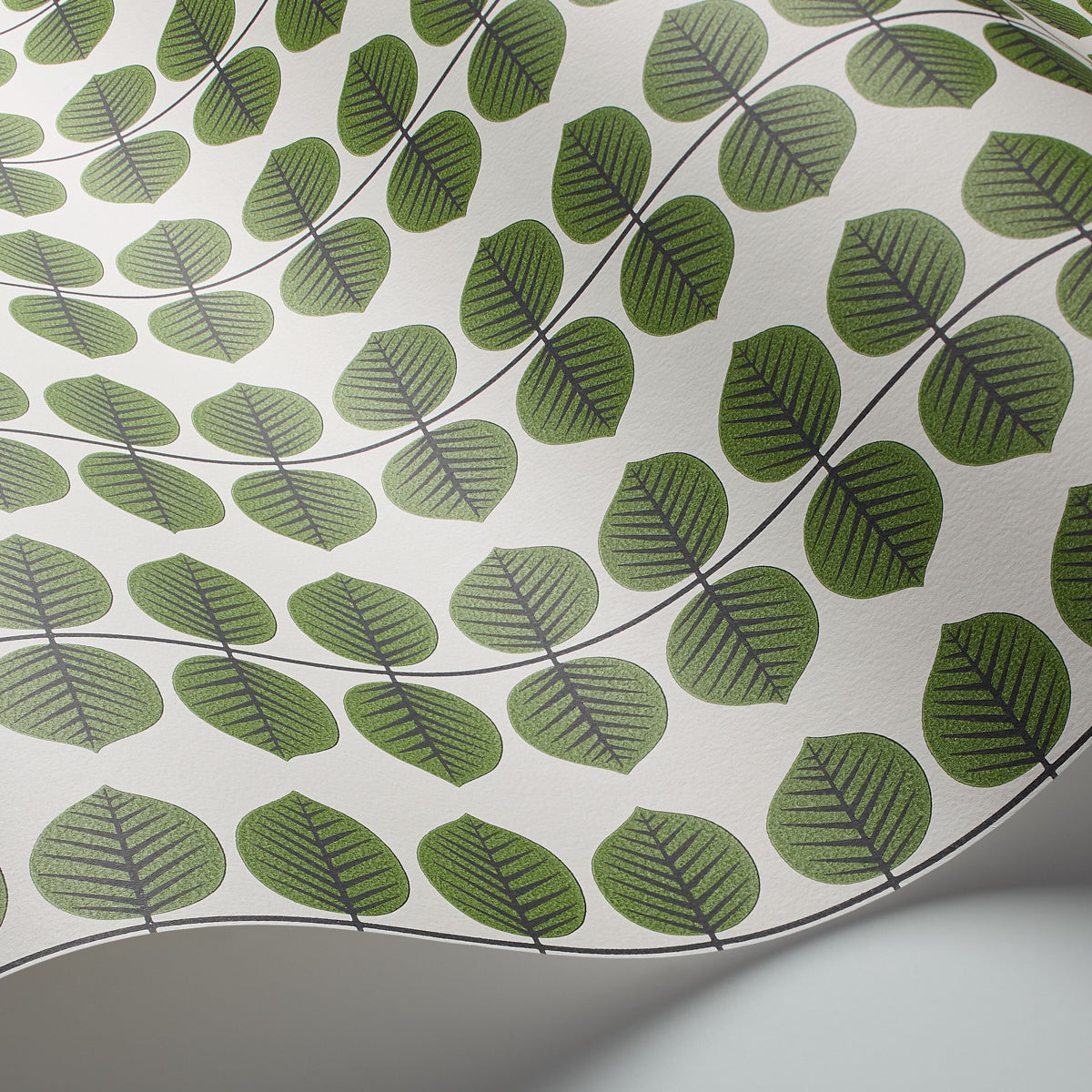 Curved white ceramic plate with repeating green leaf motifs along vines; abstract botanical design.