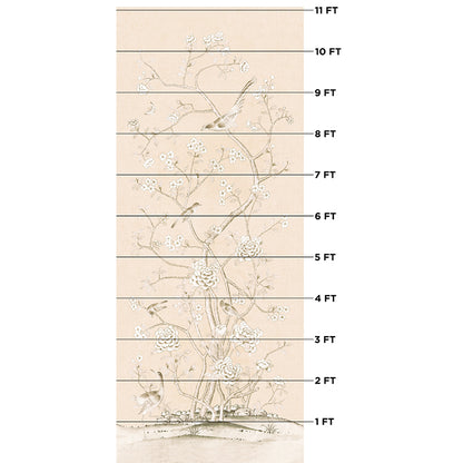 SCHUMACHER  MARY MCDONALD CHINOIS PALAIS PRINTS PRINTS BLUSH CONCH   - 175041