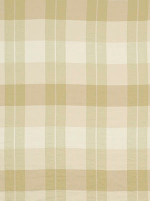 Robert Allen Adestan | Lemongrass  Upholstery     - 175598