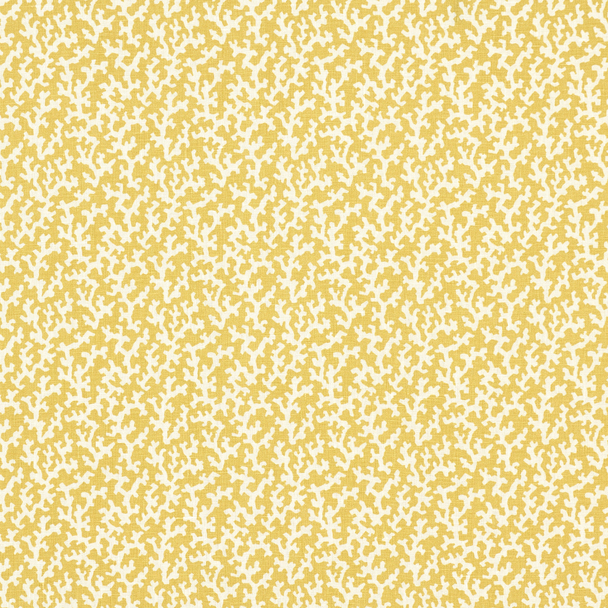 SCHUMACHER  VEERE GRENNEY FOLLY PRINTS PRINTS MIMOSA   - 176128