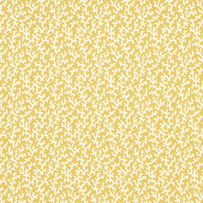 SCHUMACHER  VEERE GRENNEY FOLLY PRINTS PRINTS MIMOSA   - 176128