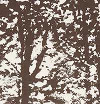 SCHUMACHER  GOOD VIBRATIONS WOODLAND   Bark   - 176212
