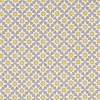 SCHUMACHER  CLIQUE SERENDIPITY   Bay & Citron   - 176426