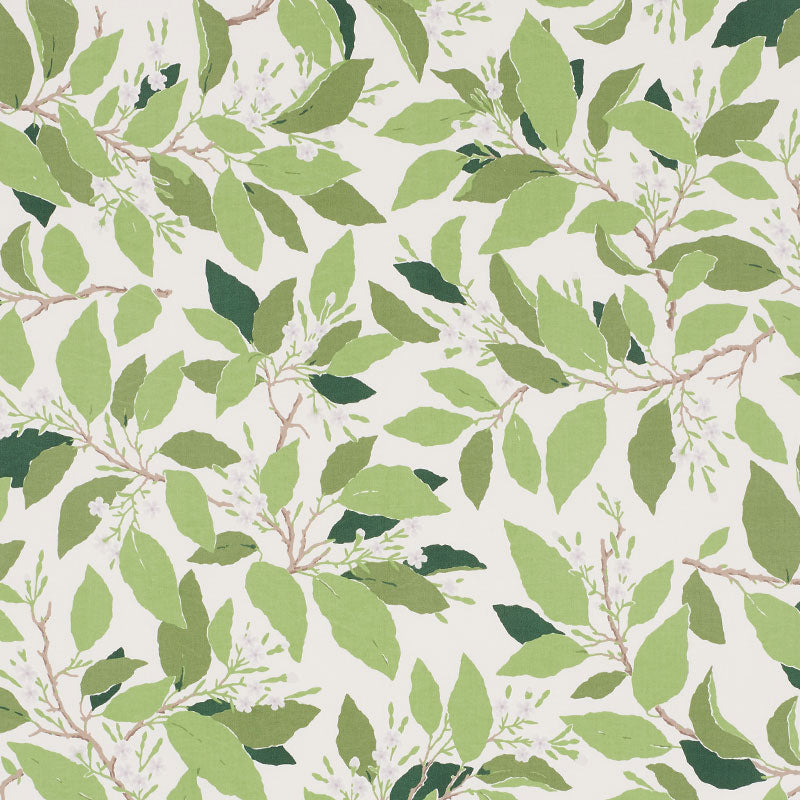 SCHUMACHER  MILES REDD DOGWOOD LEAF   Ivory   - 176520