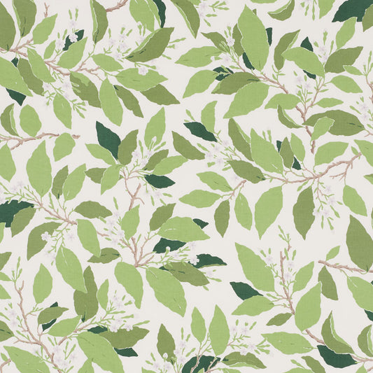 SCHUMACHER  MILES REDD DOGWOOD LEAF   Ivory   - 176520