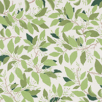 SCHUMACHER  MILES REDD DOGWOOD LEAF   Ivory   - 176520