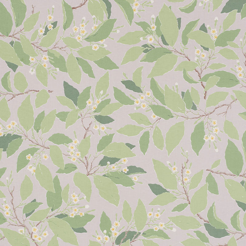 SCHUMACHER  MILES REDD DOGWOOD LEAF   Grisaille   - 176521