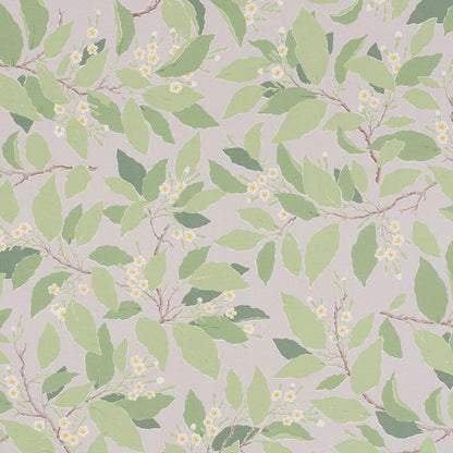 SCHUMACHER  MILES REDD DOGWOOD LEAF   Grisaille   - 176521
