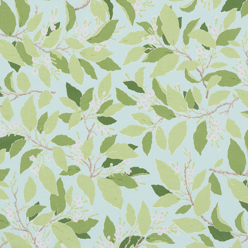 SCHUMACHER  MILES REDD DOGWOOD LEAF   Aqua   - 176522