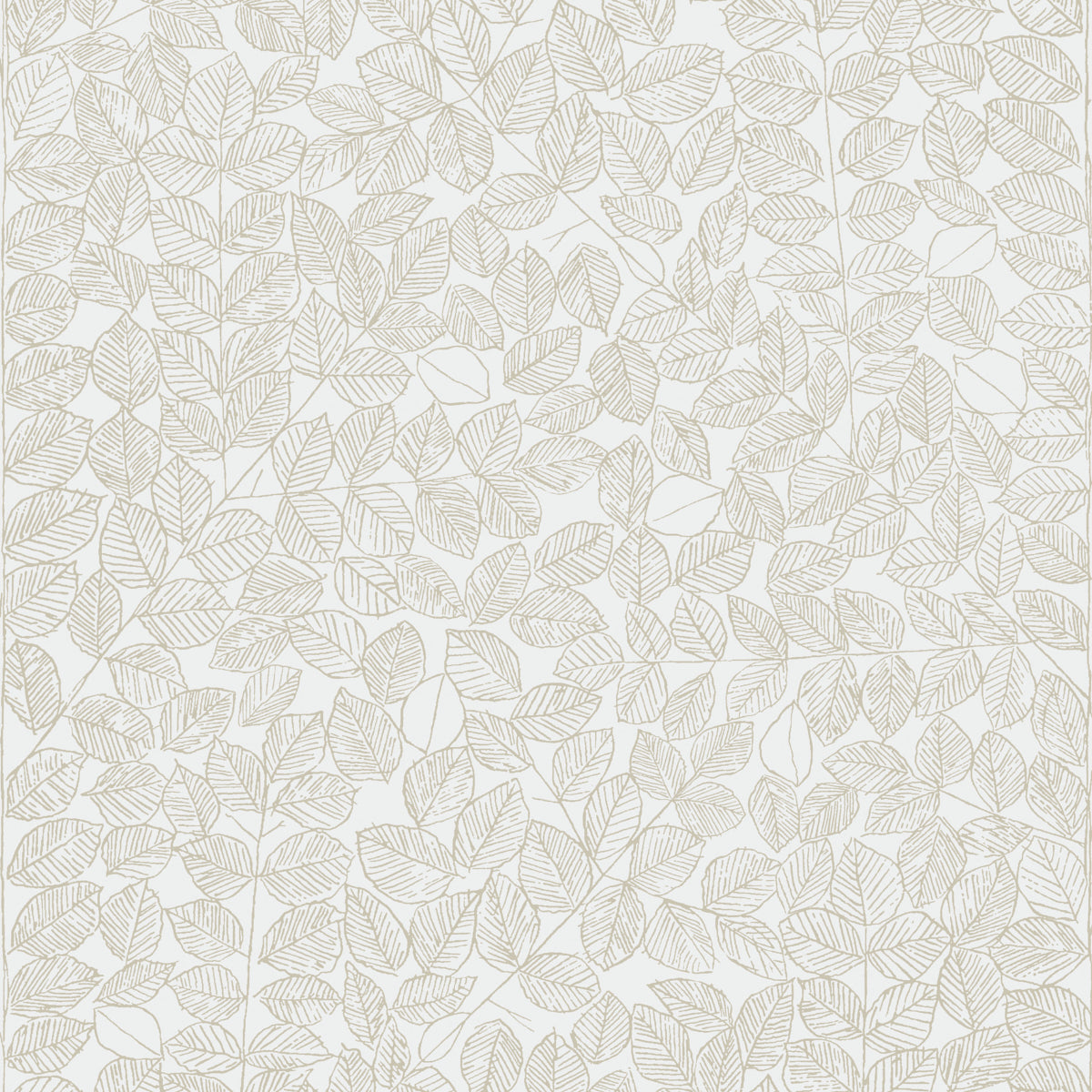 SCHUMACHER WALLCOVERING  BORASTAPETER ROMANS   SAND   - 1767