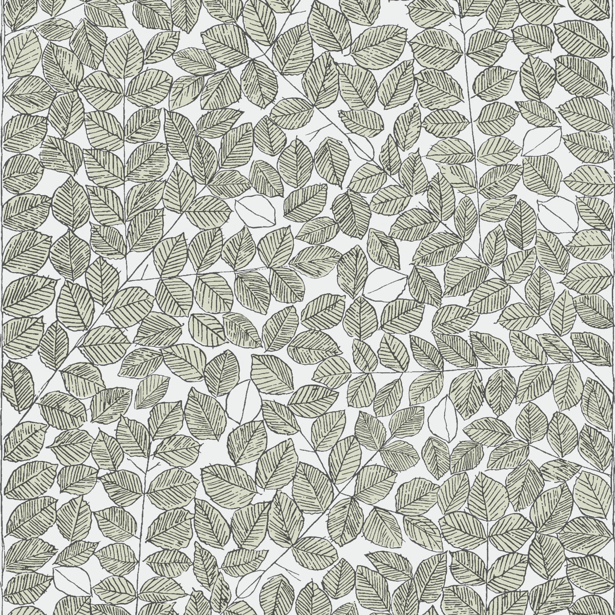 SCHUMACHER  Borastapeter ROMANS   LEAF   - 1769