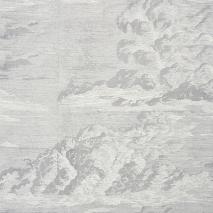 SCHUMACHER  SCHUMACHER CLASSICS CLOUD TOILE PRINTS,SILKS & SATIN PRINTS,SILKS & SATIN FOG   - 177002